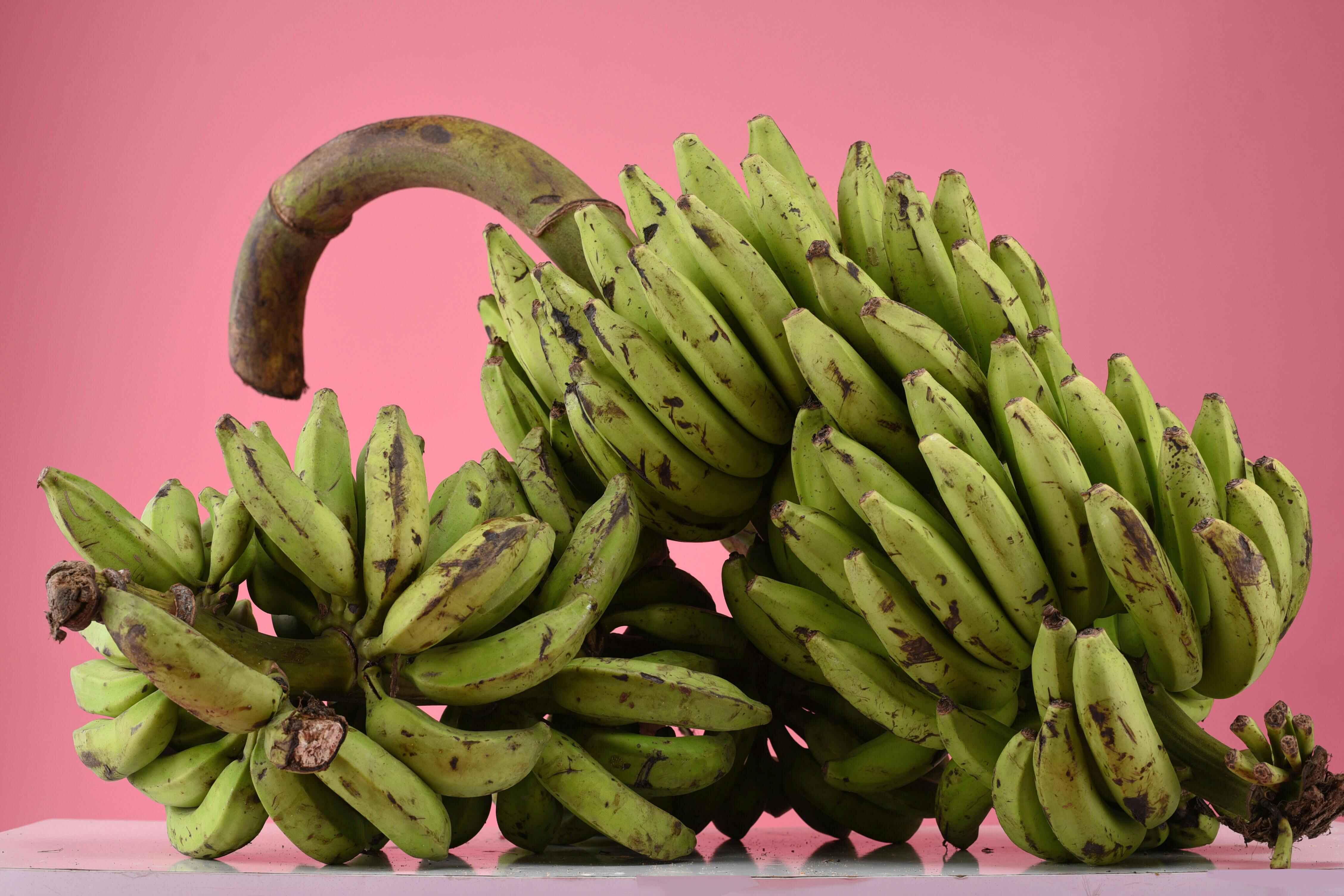 Plantain Bunches